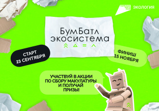 БумБатл.